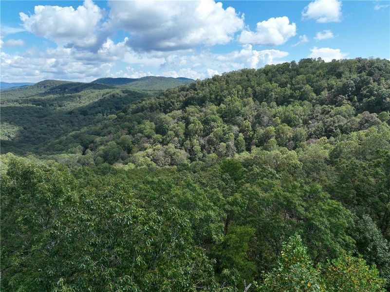 Natural landscape and outdoor views near  in Jasper (Image 30).