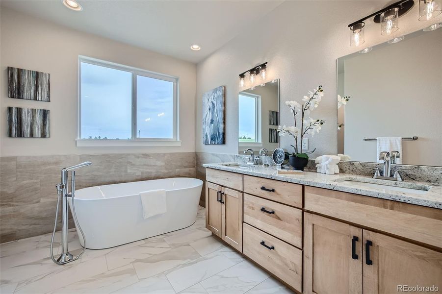 Master Bathroom with stand-alone Tub.