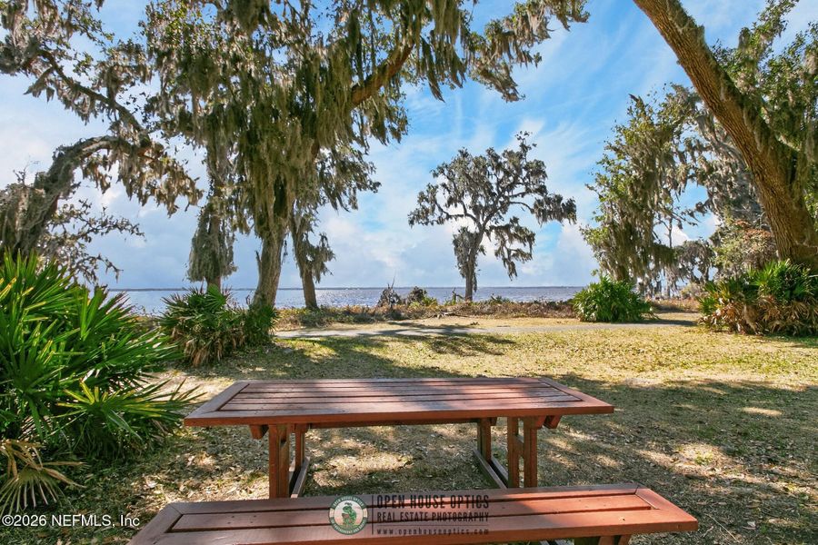 Natural landscape and outdoor views near  in St. Johns (Image 72).