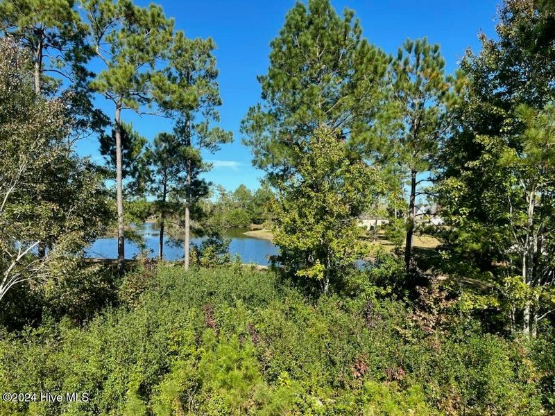Image 34 of a home in Palmetto Creek. Image 34 of a home in Palmetto Creek.