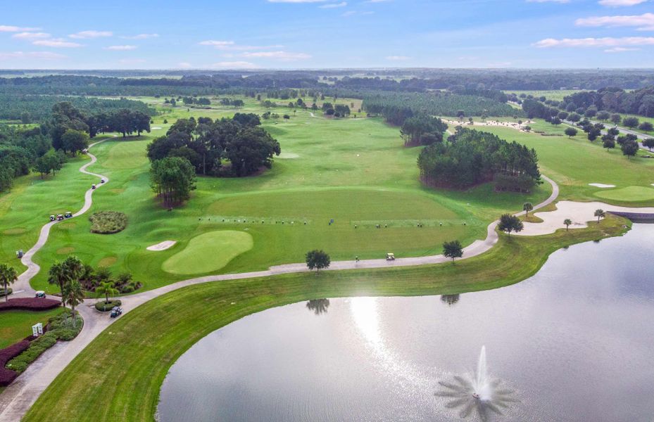Natural landscape and outdoor views near Del Webb Stone Creek in Ocala (Image 23). Natural landscape and outdoor views near Del Webb Stone Creek in Ocala (Image 23).