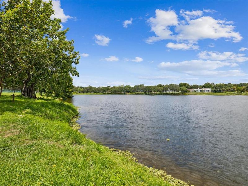 Natural landscape and outdoor views near  in St. Petersburg (Image 75).