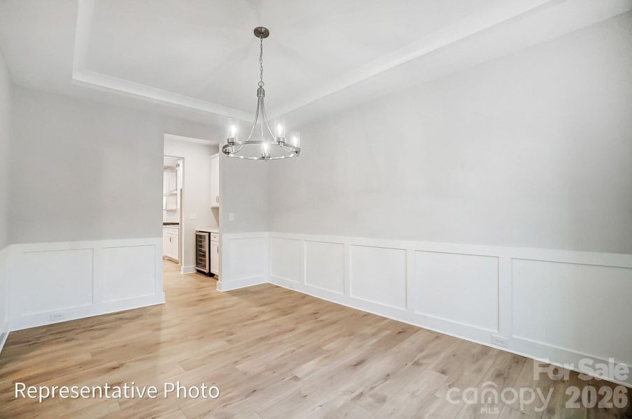 Representative photo