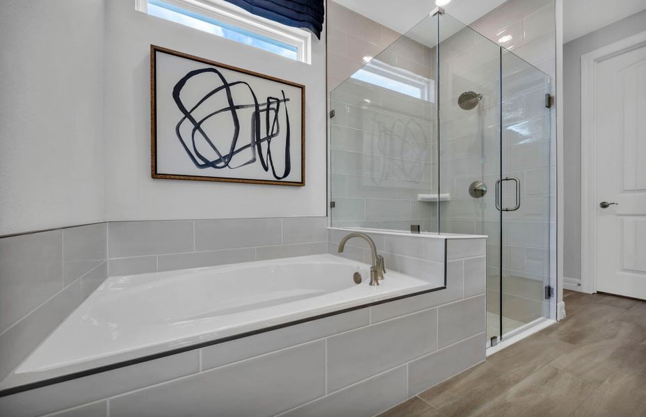 Mystique | Owner's Walk-In Shower