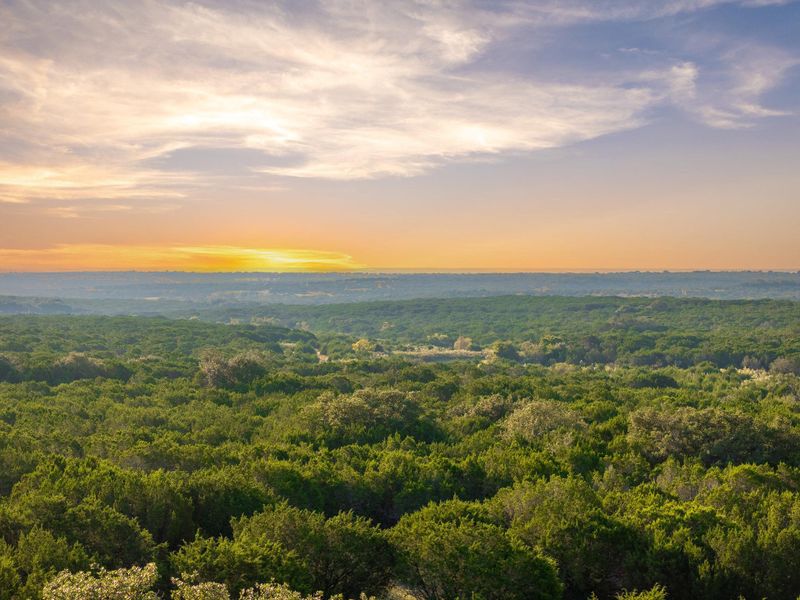 Aerial view at dusk of a forest view