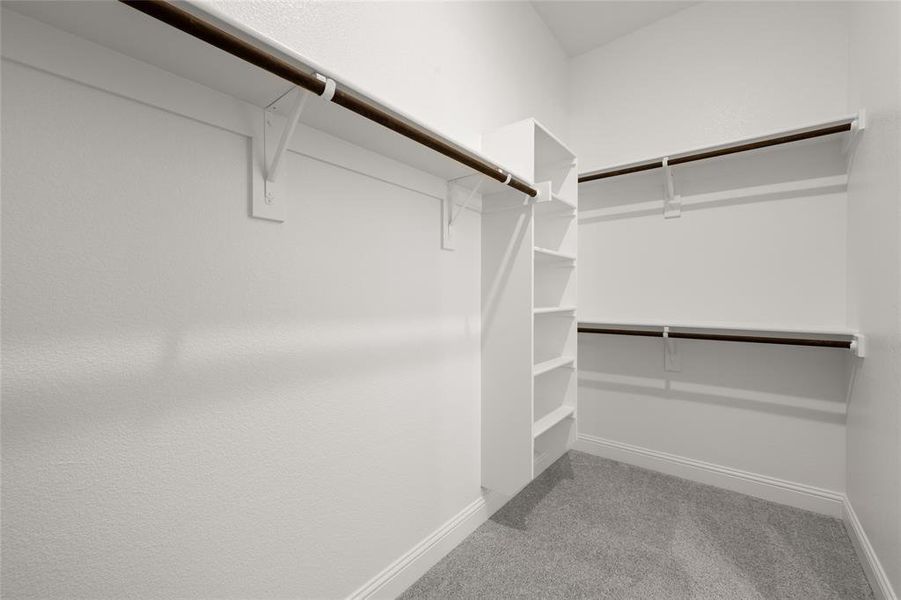 Walk in closet featuring carpet Walk in closet featuring carpet