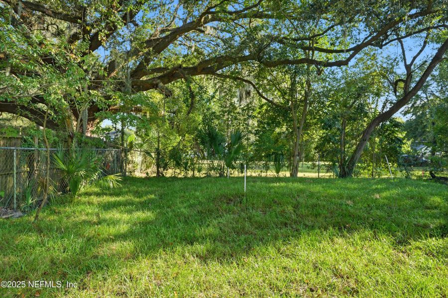 Natural landscape and outdoor views near  in Jacksonville (Image 19).