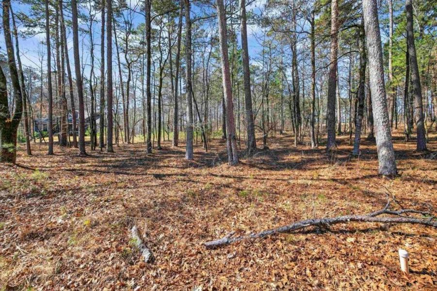 Natural landscape and outdoor views near  in Greensboro (Image 5).
