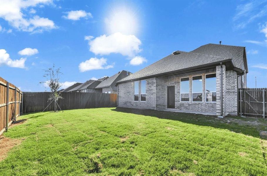 5036 backyard 5036 backyard