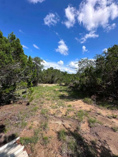 A tranquil clearing among native trees offers a serene backdrop for future possibilities.
