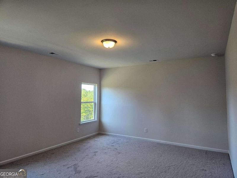 Spacious, unfurnished interior of a new home in Maddox Station, Eatonton (Image 29).