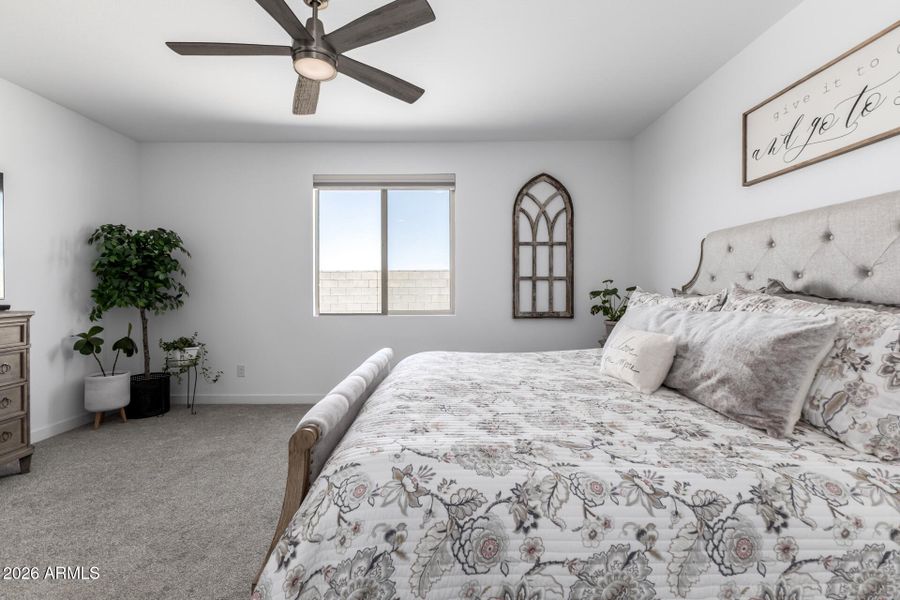 19 - Wildmare 19 - Wildmare