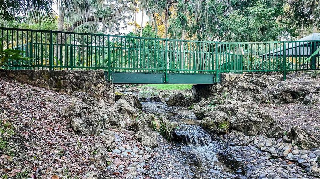 Natural landscape and outdoor views near Southloch in Mount Dora (Image 19). Natural landscape and outdoor views near Southloch in Mount Dora (Image 19).