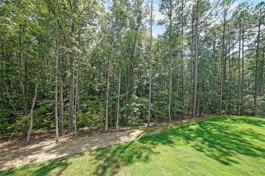 Natural landscape and outdoor views near  in Dahlonega (Image 25).