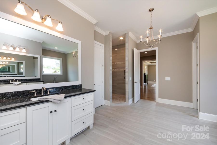 Primary Bathroom Photo is a representation of builders work on Completion of Home Next Door