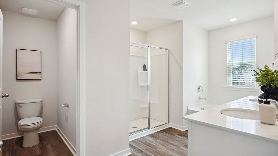 Furnished interior view inside a new home in Silverstein, Salisbury (Image 27).