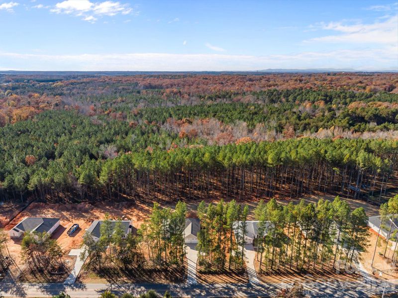 Natural landscape and outdoor views near  in Lincolnton (Image 34).
