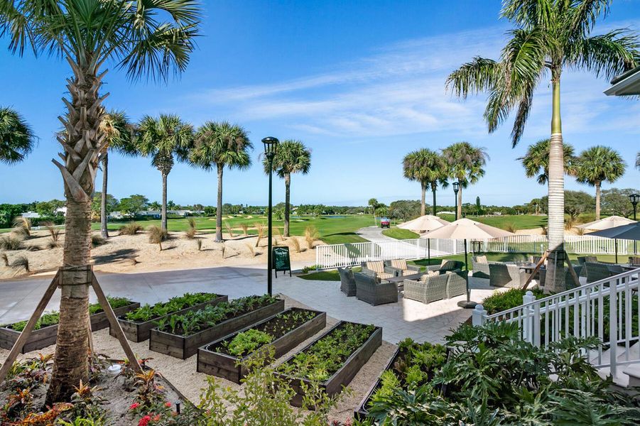 Herb Garden Herb Garden