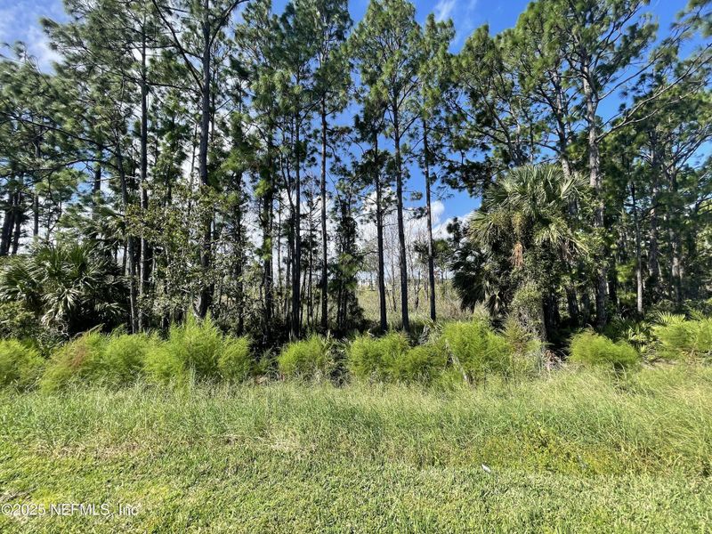 Image 29 of a home in The Magnolia Series at Reserve East.