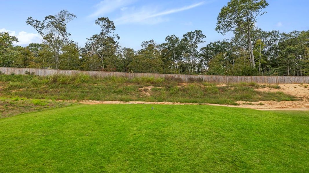 Natural landscape and outdoor views near Harrier Point in Woodruff (Image 38). Natural landscape and outdoor views near Harrier Point in Woodruff (Image 38).