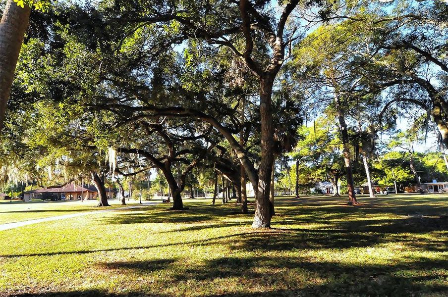 Natural landscape and outdoor views near in Sarasota (Image 46). Natural landscape and outdoor views near in Sarasota (Image 46).