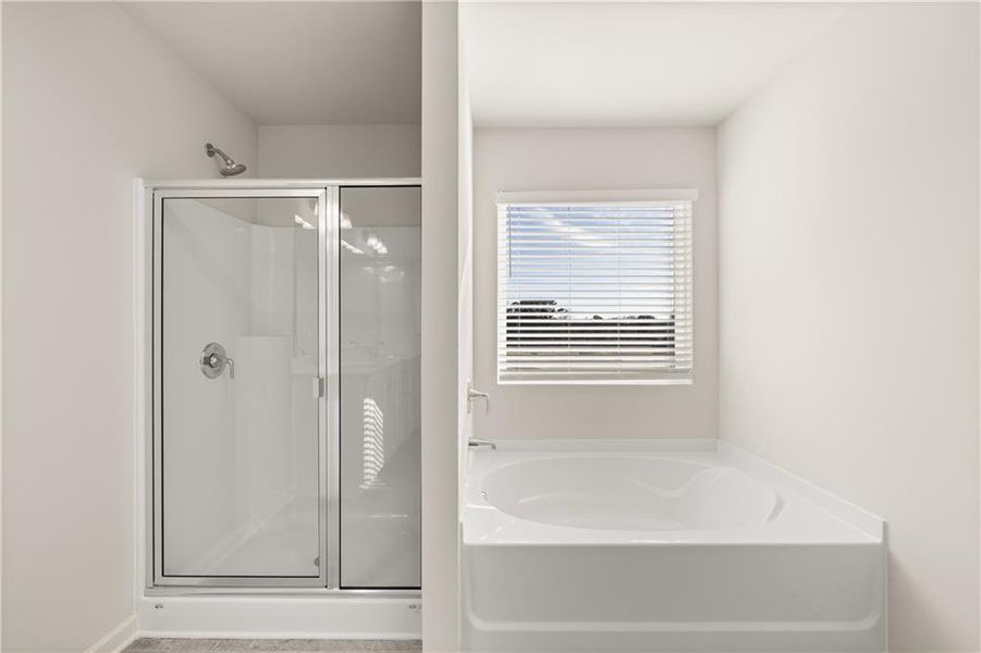 Image 28 of a home in Lake Carlton.