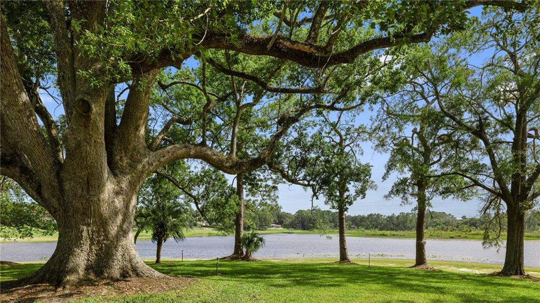 Natural landscape and outdoor views near in Lake Mary (Image 4). Natural landscape and outdoor views near in Lake Mary (Image 4).