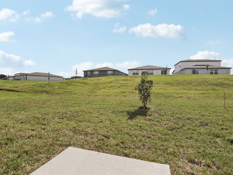 Natural landscape and outdoor views near Benton Hills - Classic Series in Brooksville (Image 21).