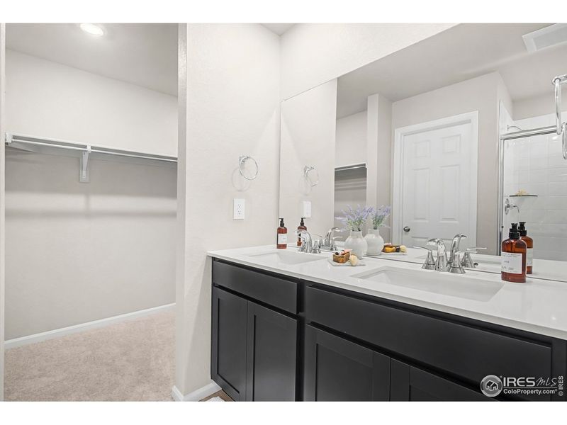 Furnished interior view inside a new home in Lake Bluff, Greeley (Image 14).