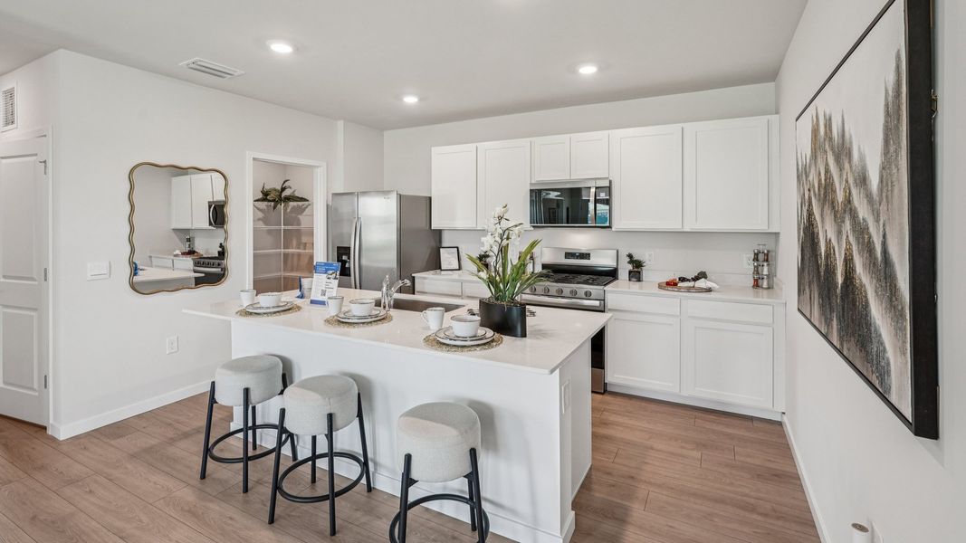 Furnished interior view inside a new home in Palmetto Landing at Babcock Ranch Express, Punta Gorda (Image 10).