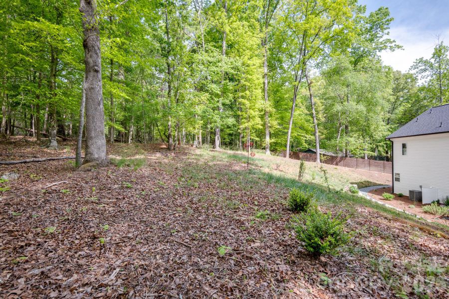 Natural landscape and outdoor views near  in Waxhaw (Image 34).