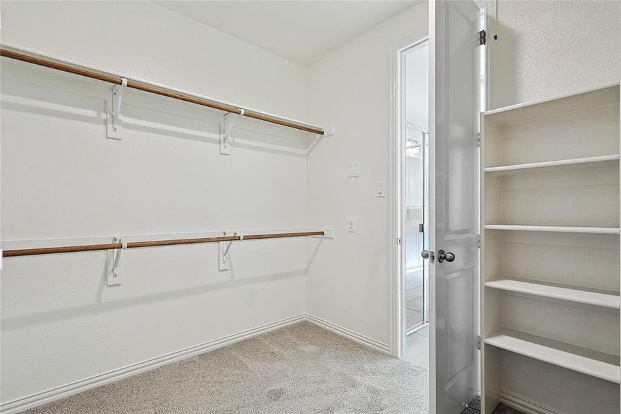 Walk in closet with light colored carpet