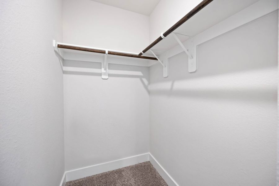 3020 La Rambla - Rembrandt - Primary Closet 3020 La Rambla - Rembrandt - Primary Closet