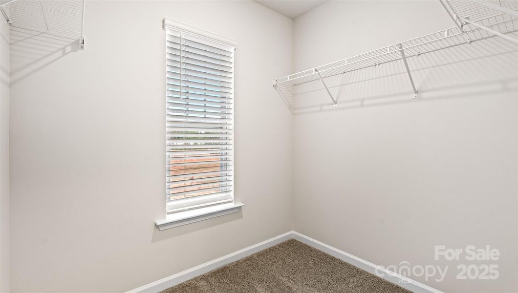 Photos are representative