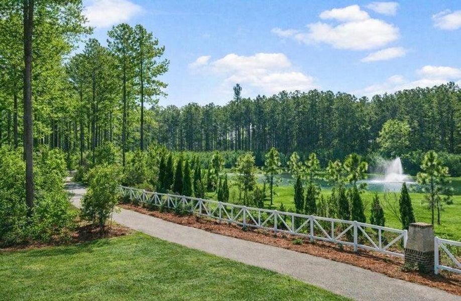 Natural landscape and outdoor views near Sanctuary Cove at Cane Bay in Summerville (Image 34).