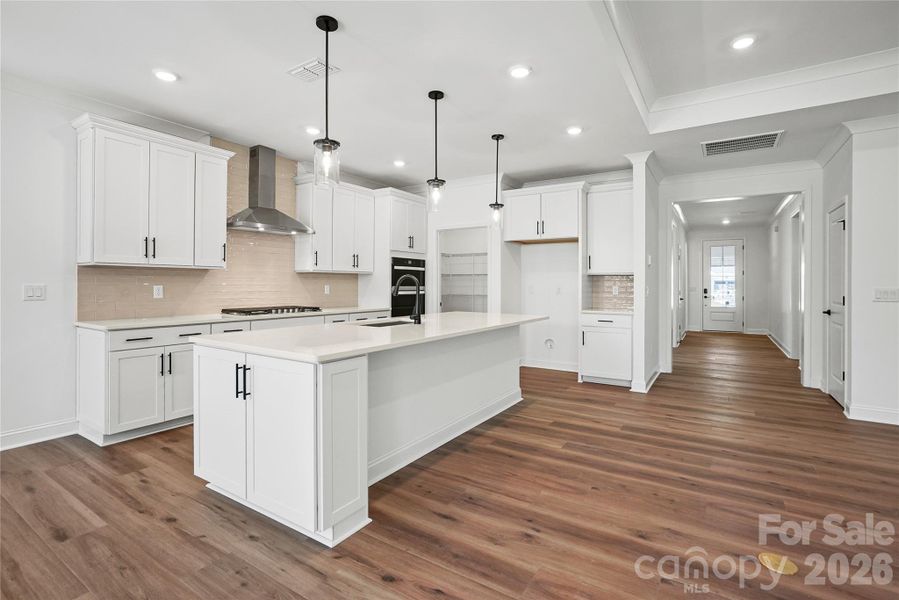 Gourmet kitchen, quartz countertops