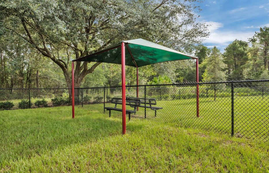 Community amenities in Double Branch, Middleburg (Image 24).