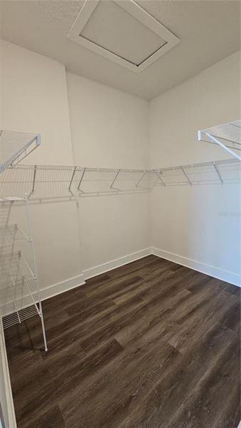 Spacious, unfurnished interior of a new home in , Port Charlotte (Image 23).