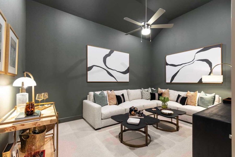 Entertainment Room