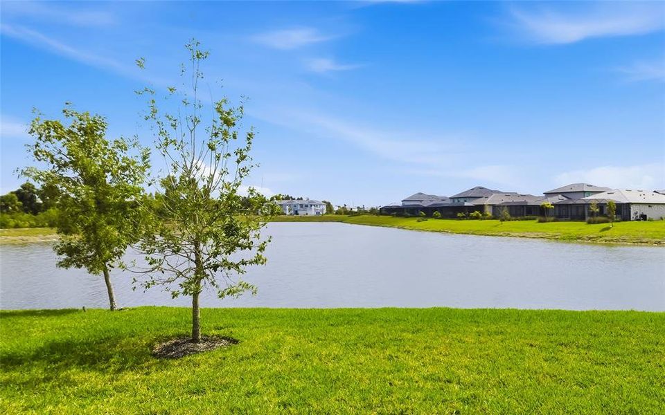 Natural landscape and outdoor views near  in Venice (Image 35).