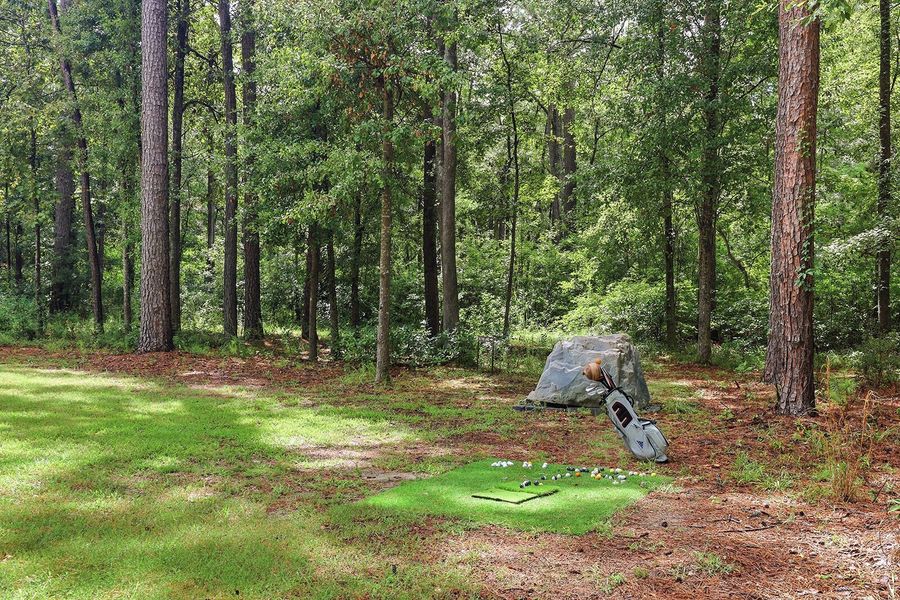 Natural landscape and outdoor views near  in Seabrook (Image 74).