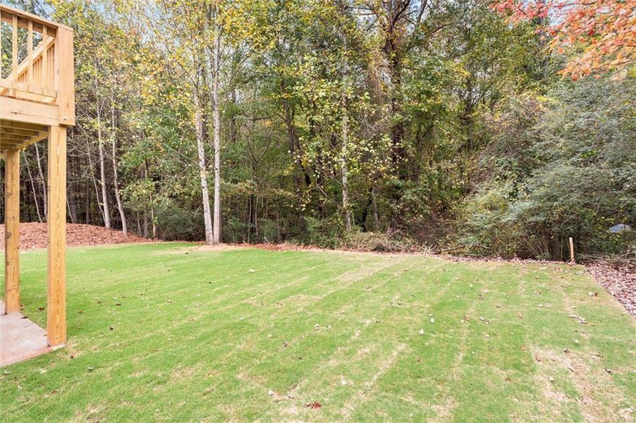 Natural landscape and outdoor views near  in Austell (Image 45).