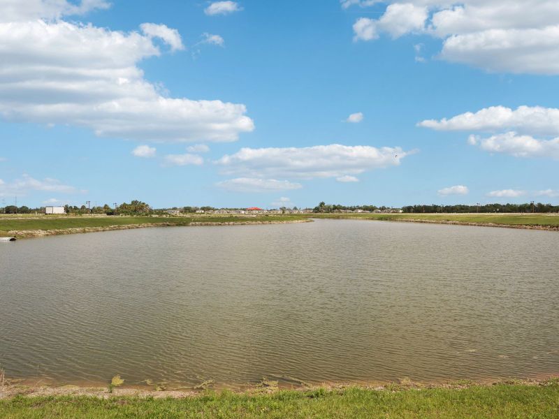 Natural landscape and outdoor views near Oakfield Trails - Signature Series in Parrish (Image 18). Natural landscape and outdoor views near Oakfield Trails - Signature Series in Parrish (Image 18).