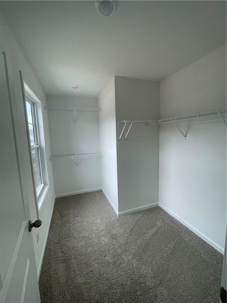 Spacious, unfurnished interior of a new home in Springwood Grove, Central (Image 22).
