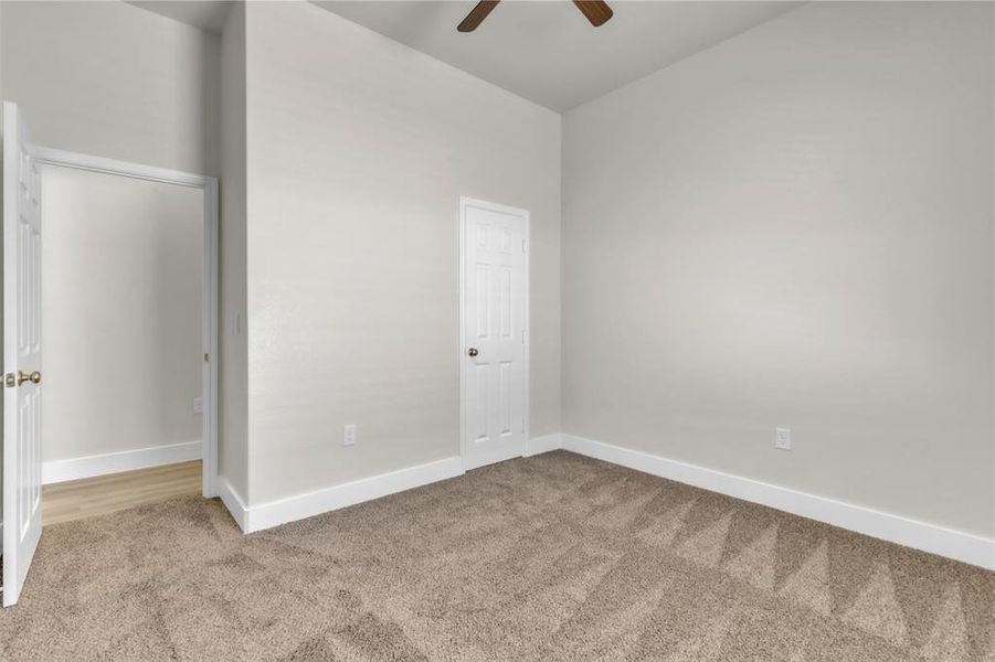 Tall ceilings throughout