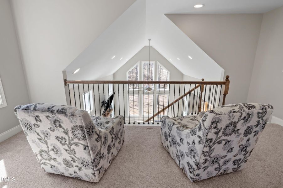 31-web-or-mls-P1112014