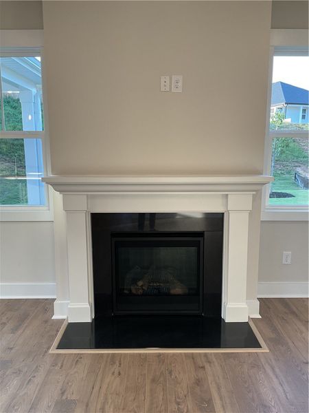 Fireplace in the family room