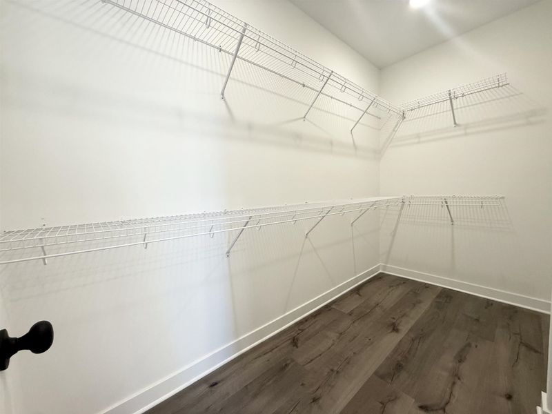 Walk in closet with dark wood-style floors