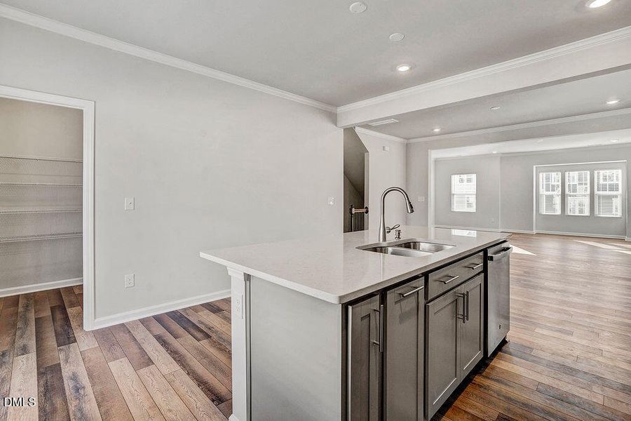 1936RabbitHopTrial-17