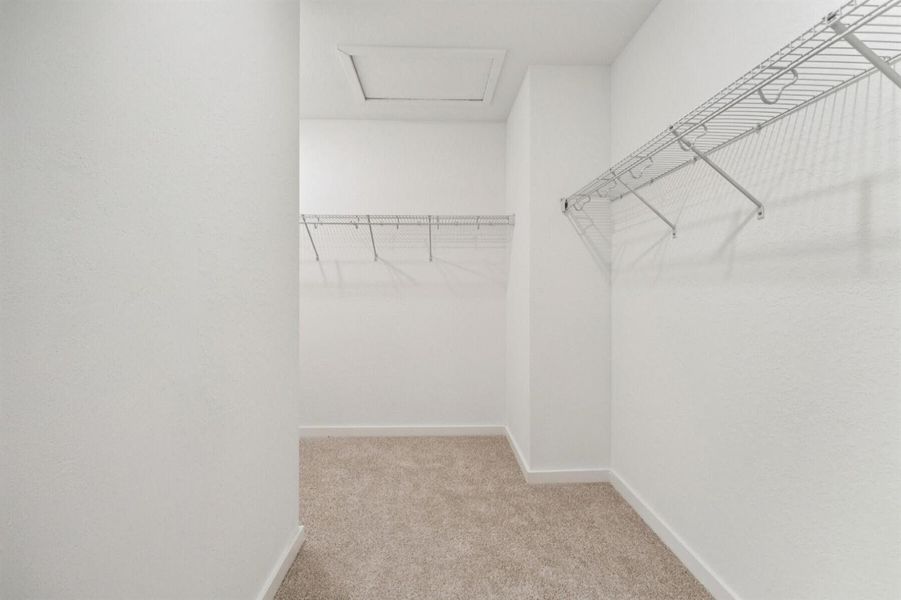 Primary Walk-in Closet Primary Walk-in Closet